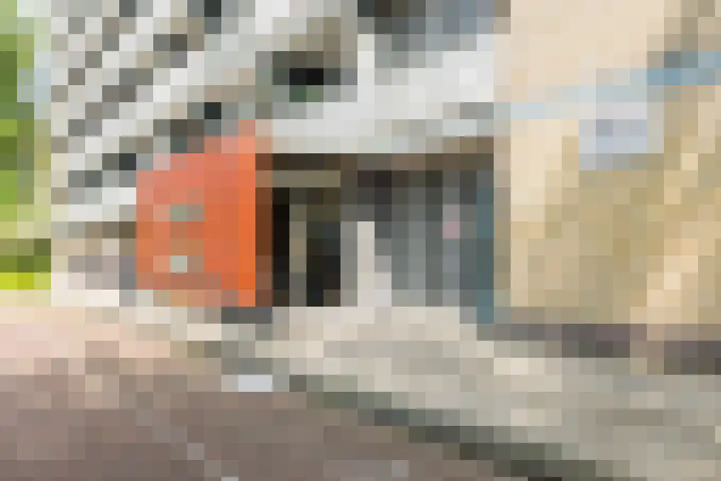 Waddenstraat 543 Haarlem thumbnail 5