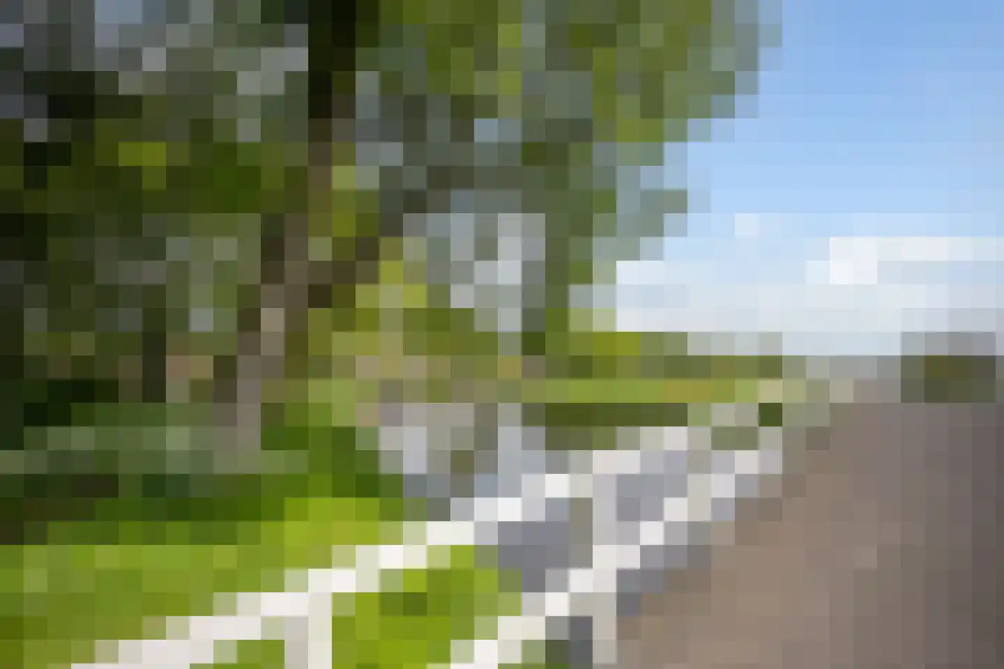 Waddenstraat 609 Haarlem thumbnail 27