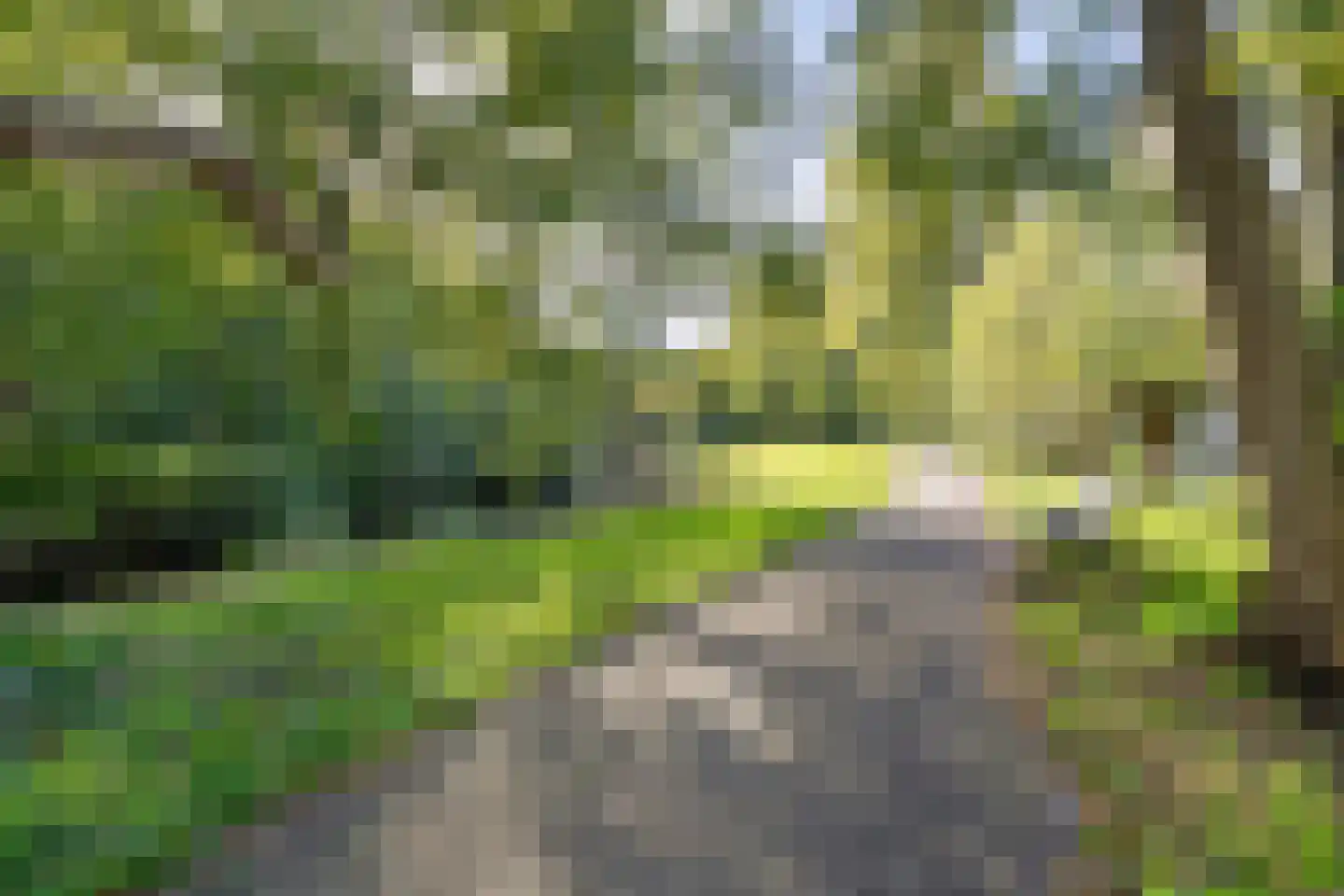 Waddenstraat 655 Haarlem thumbnail 35