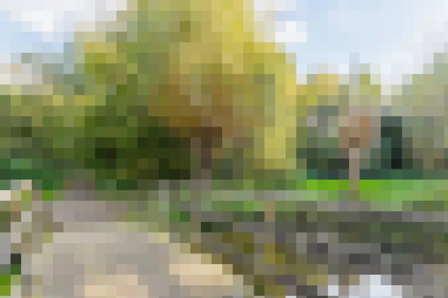 Waddenstraat 655 Haarlem thumbnail 37