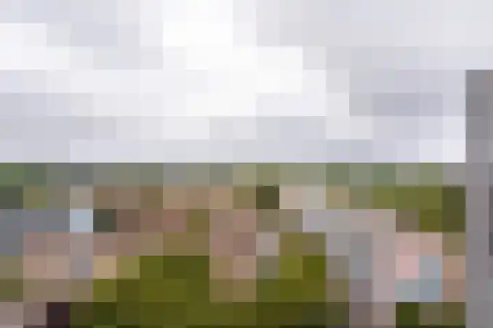 Waddenstraat 751 Haarlem thumbnail 19