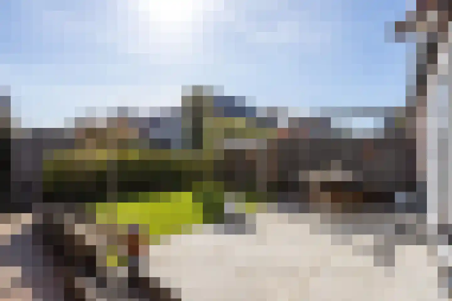 Waddenweg 14 b Berkel en Rodenrijs thumbnail 53