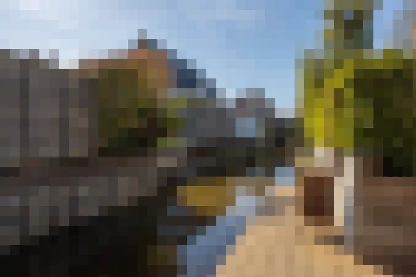 Waddenweg 14 b Berkel en Rodenrijs thumbnail 63