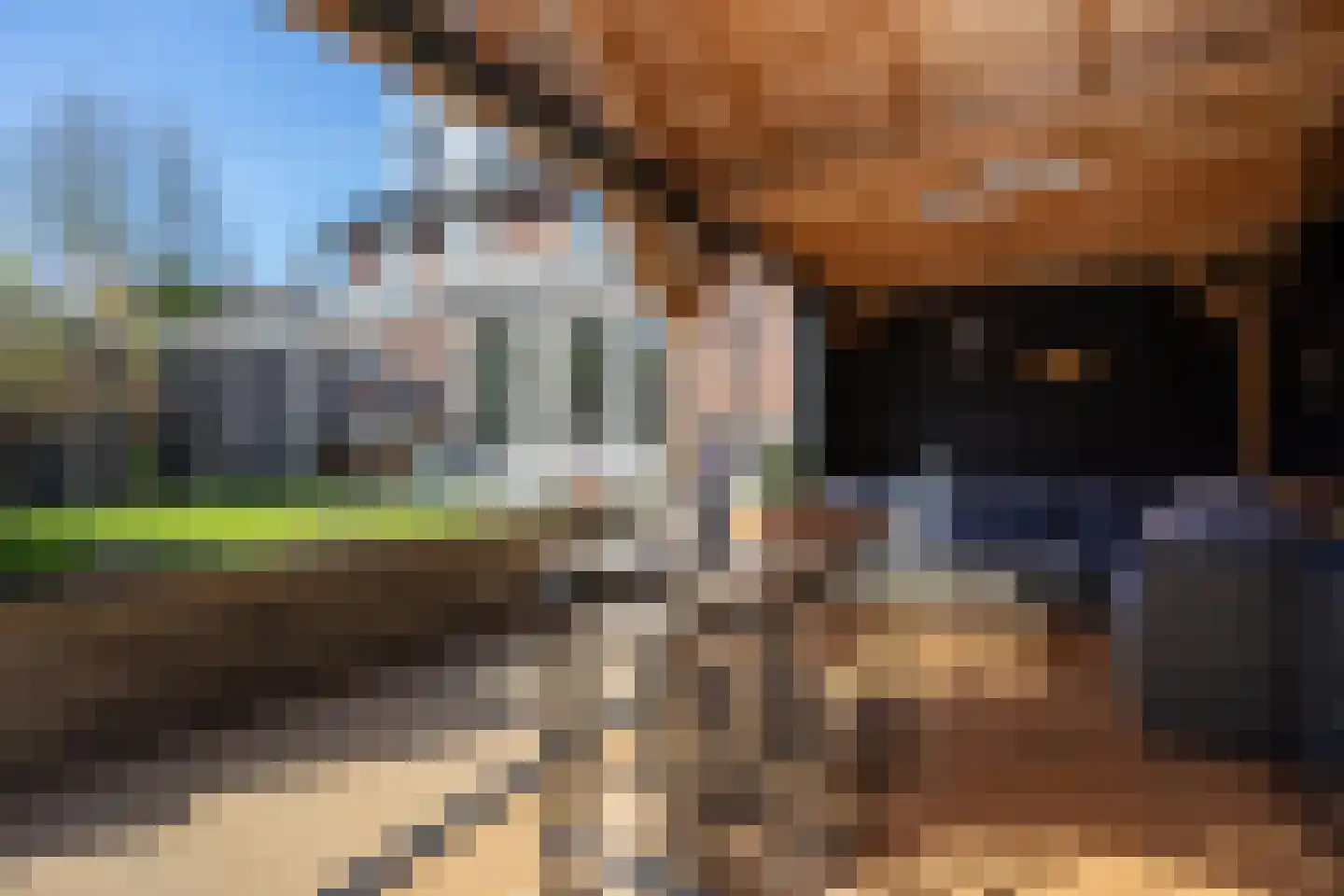 Waddenweg 14 b Berkel en Rodenrijs thumbnail 64