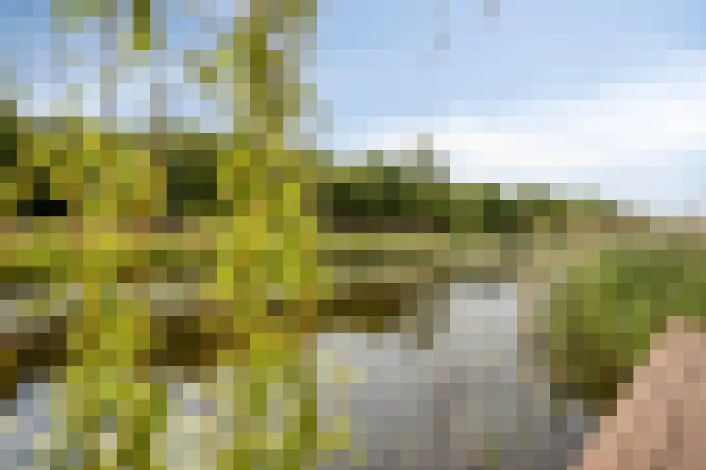 Waddenweg 173 Hoofddorp thumbnail 18