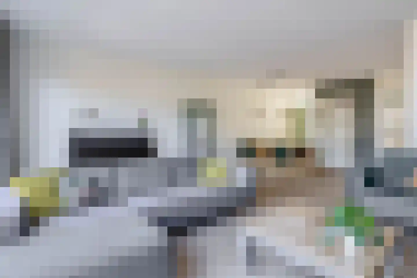 Waddenweg 26 Berkel en Rodenrijs foto 3