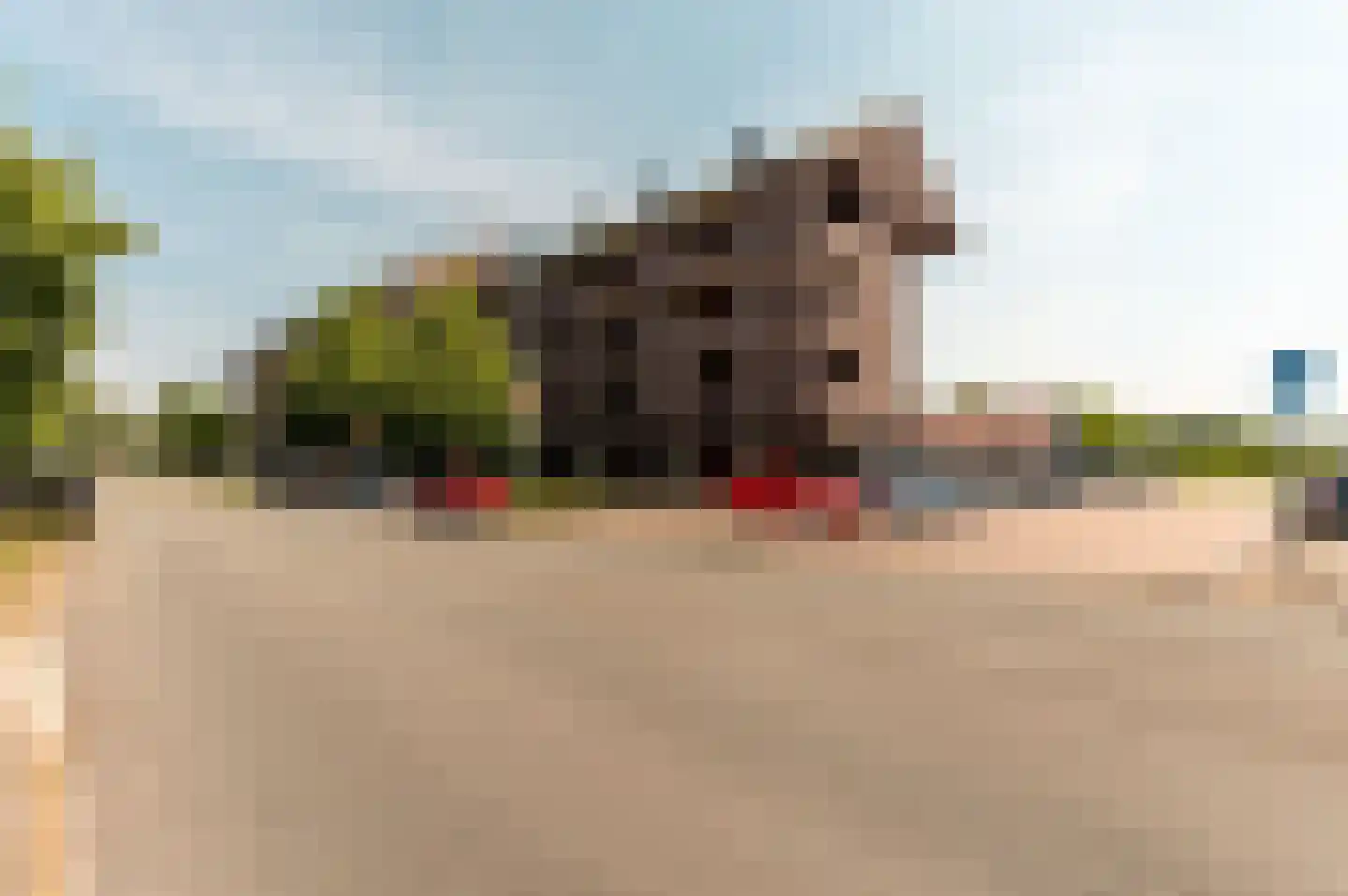 Waddenweg 285 Hoofddorp thumbnail 35
