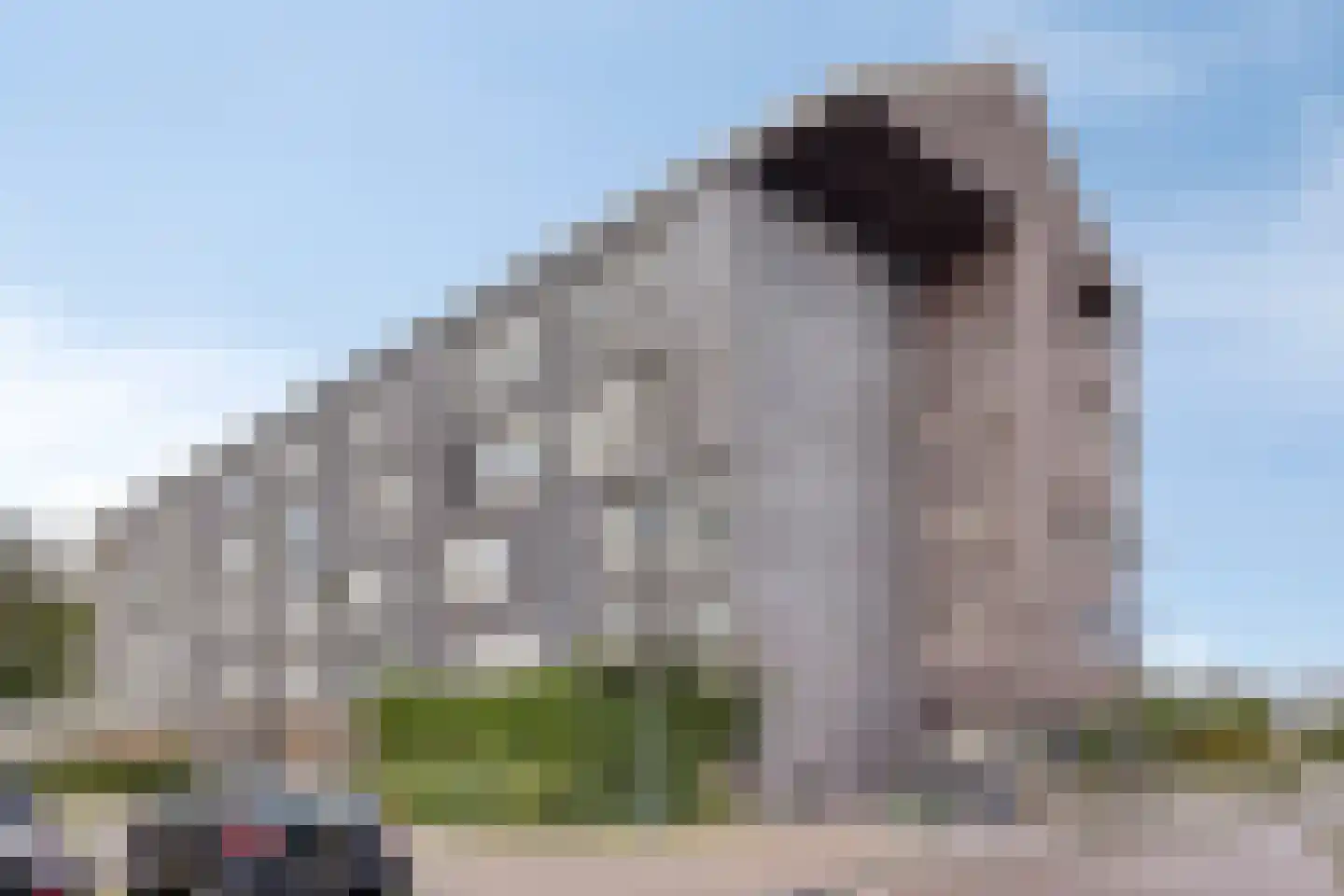 Waddenweg 291 Hoofddorp thumbnail 21