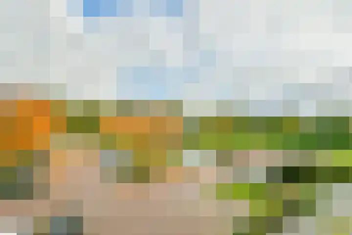 Waddenweg 327 Hoofddorp thumbnail 9