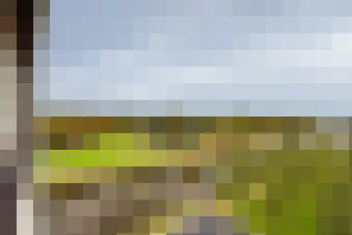 Waddenweg 351 Hoofddorp thumbnail 22