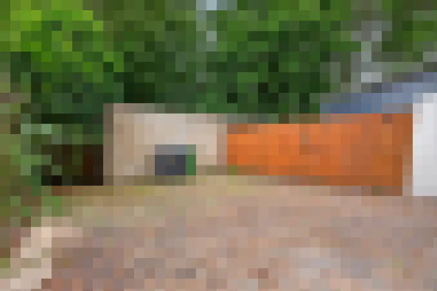 Waddinxveenstraat 44 Arnhem thumbnail 25