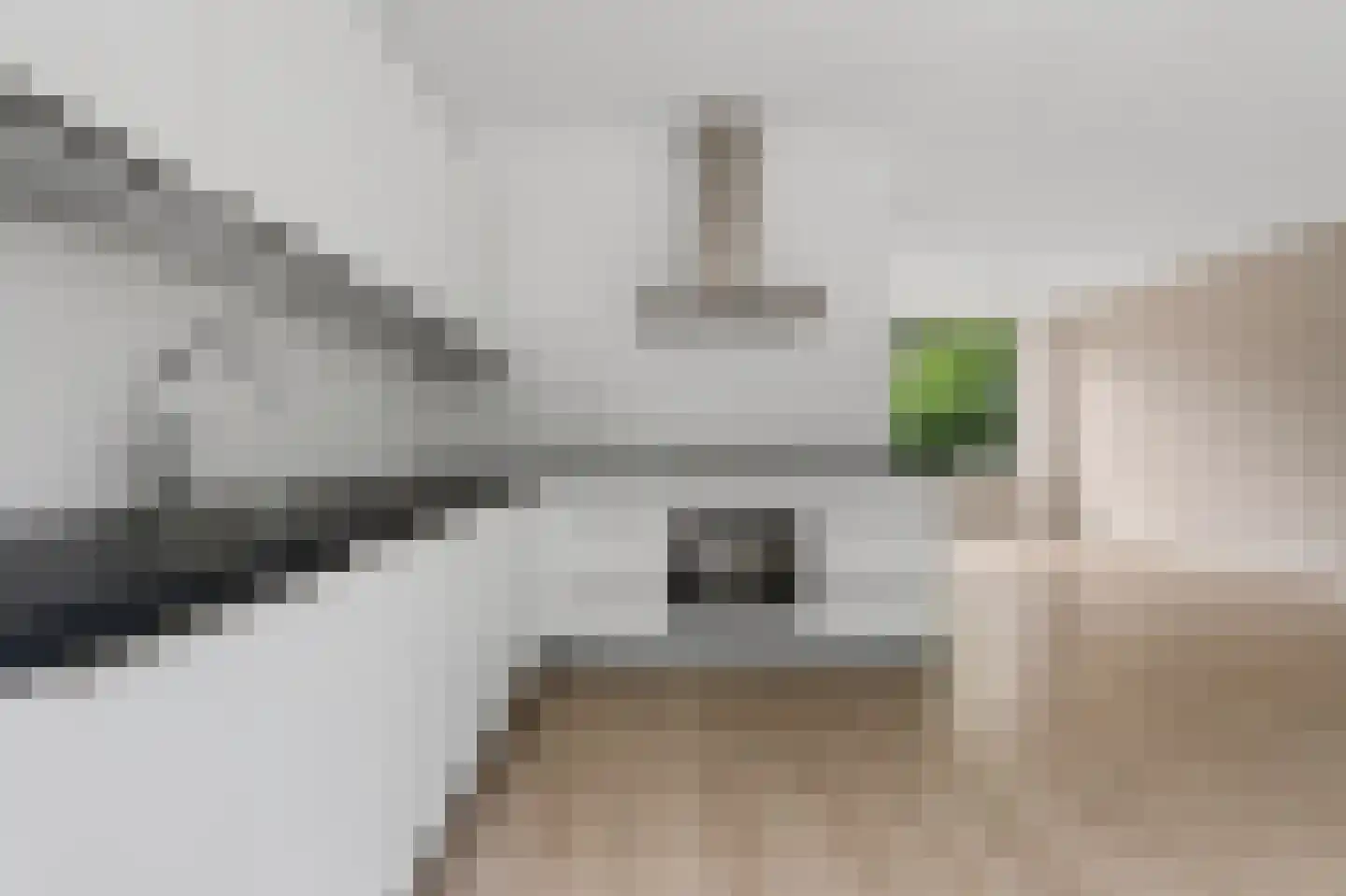 Waddinxveenstraat 44 Arnhem thumbnail 7