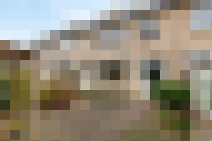 Wadenoijenlaan 187 Tiel thumbnail 10