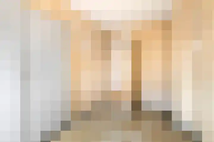 Wadenoijenlaan 187 Tiel thumbnail 17