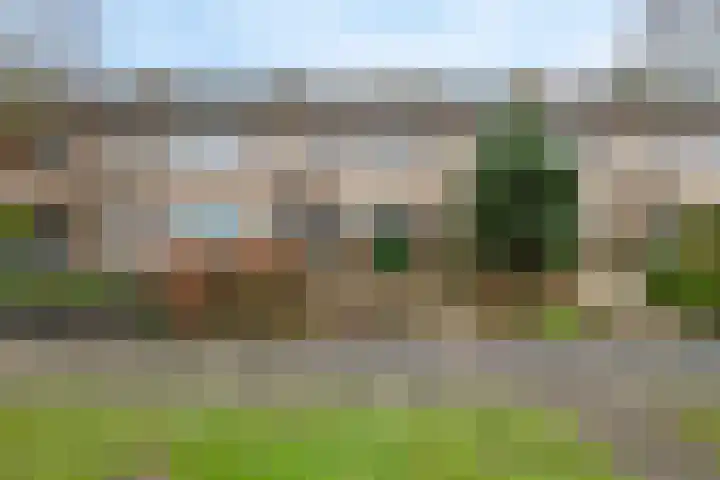 Wadenoijenlaan 187 Tiel thumbnail 31