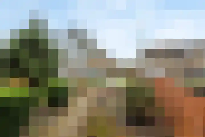 Wadenoijenlaan 187 Tiel thumbnail 33