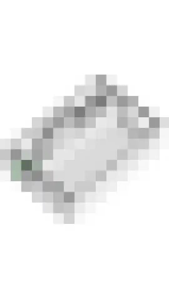 Wadenoijenlaan 187 Tiel thumbnail 35