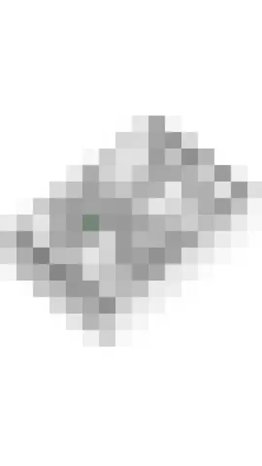 Wadenoijenlaan 187 Tiel thumbnail 37