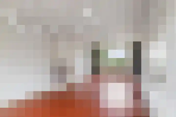 Wadenoijenlaan 187 Tiel thumbnail 5
