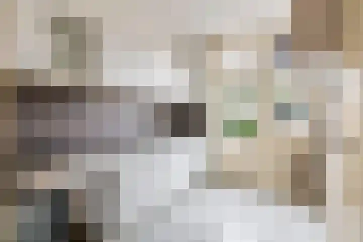 Wadenoijenlaan 187 Tiel thumbnail 6