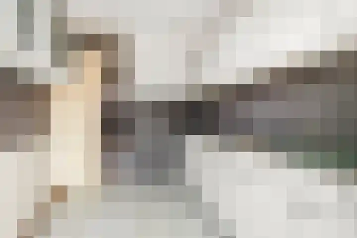 Wadenoijenlaan 187 Tiel thumbnail 7