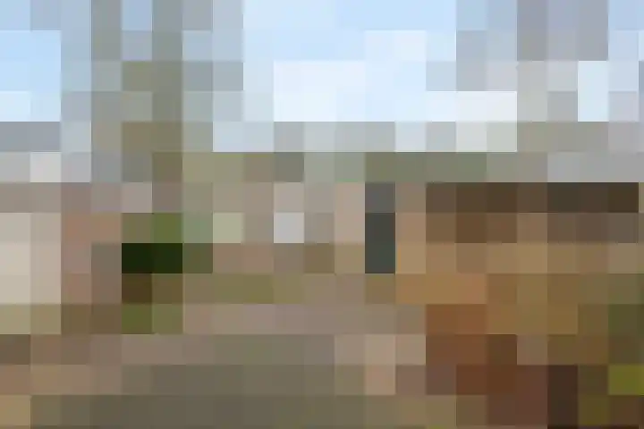 Wadenoijenlaan 187 Tiel thumbnail 9