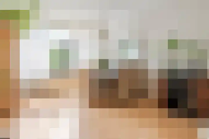 Wadenoijenlaan 189 Tiel thumbnail 10