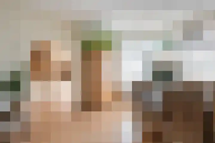 Wadenoijenlaan 189 Tiel thumbnail 11