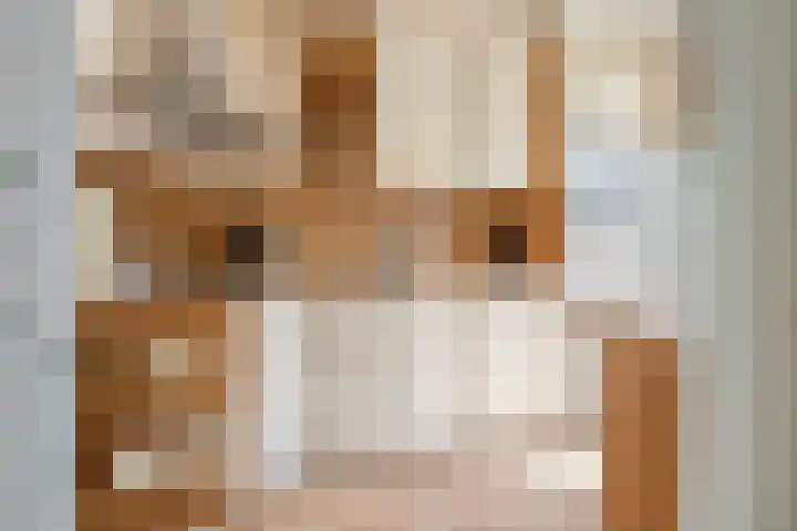 Wadenoijenlaan 189 Tiel thumbnail 12