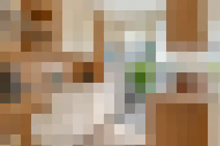 Wadenoijenlaan 189 Tiel thumbnail 13