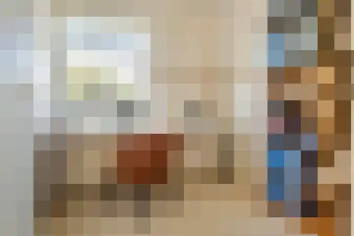 Wadenoijenlaan 189 Tiel thumbnail 22