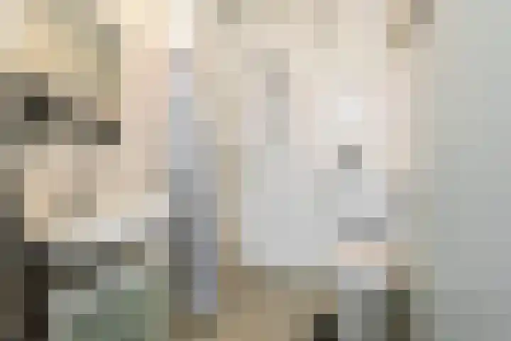 Wadenoijenlaan 189 Tiel thumbnail 23