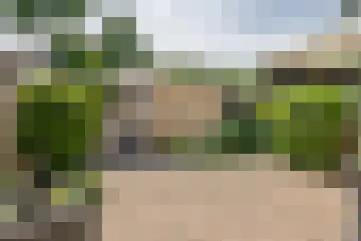 Wadenoijenlaan 189 Tiel thumbnail 27