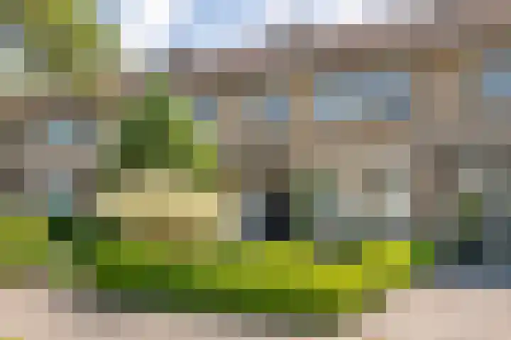 Wadenoijenlaan 189 Tiel thumbnail 32