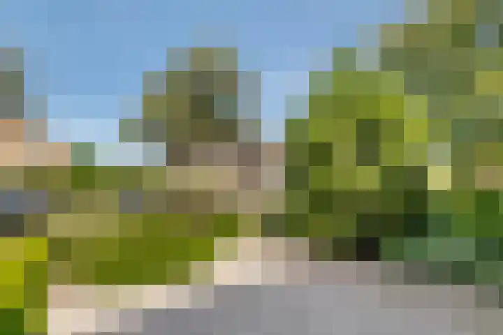 Wadenoijenlaan 189 Tiel thumbnail 4