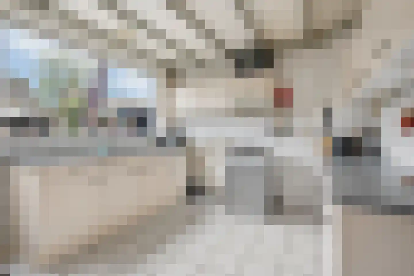 Wadenoijenlaan 373 Tiel thumbnail 11