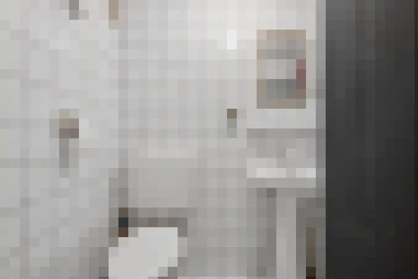 Wadenoijenlaan 373 Tiel thumbnail 19