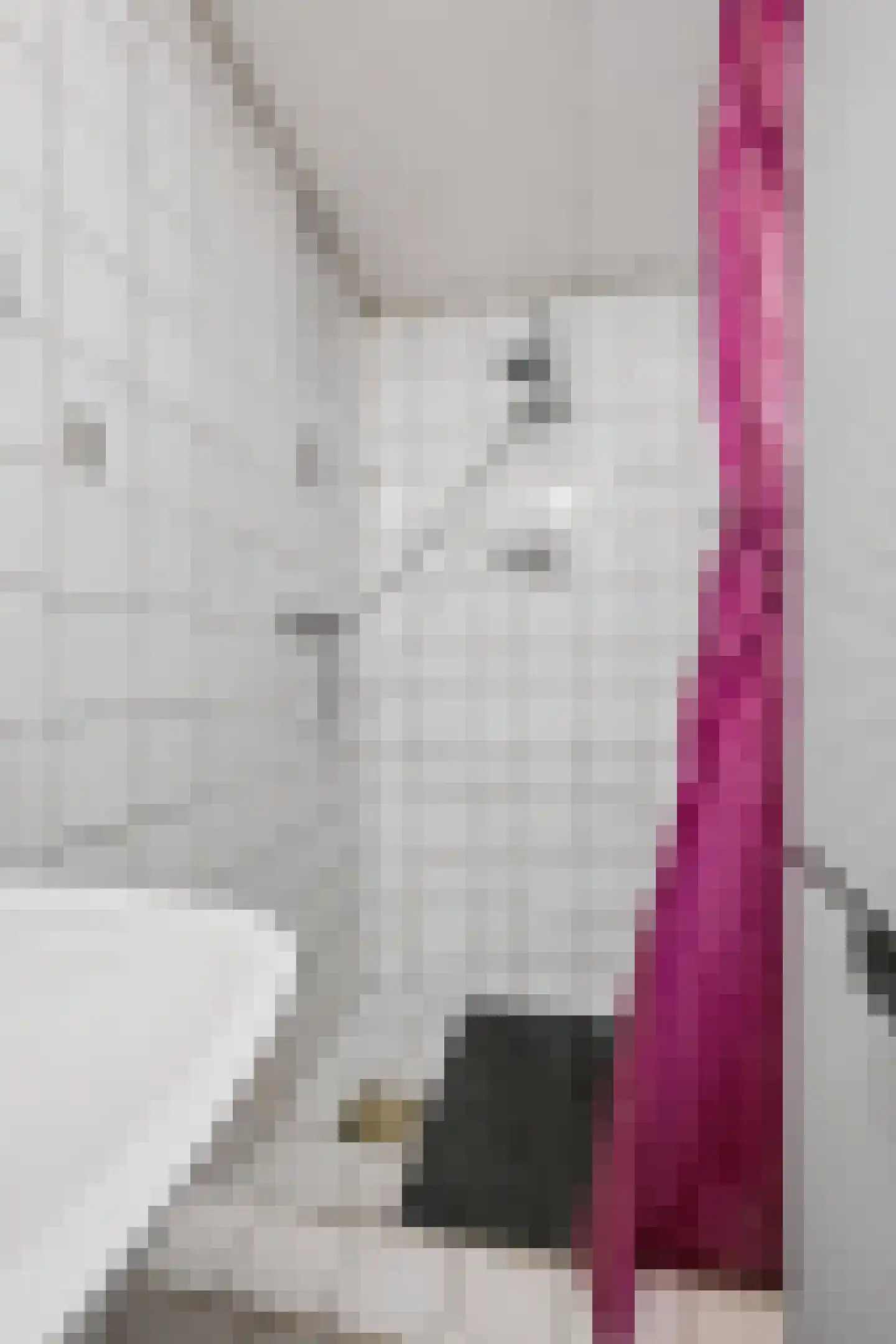 Wadenoijenlaan 373 Tiel thumbnail 21