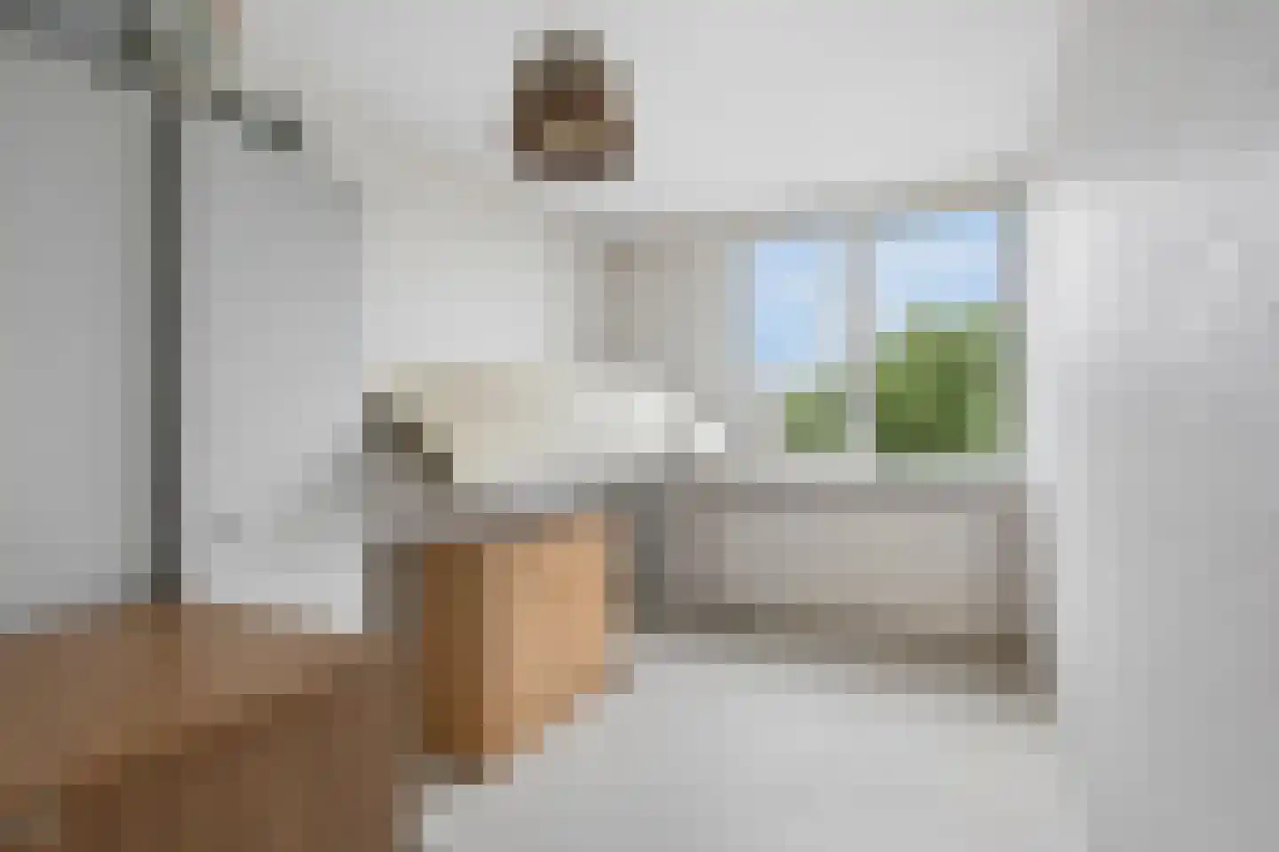 Wadenoijenlaan 373 Tiel thumbnail 22