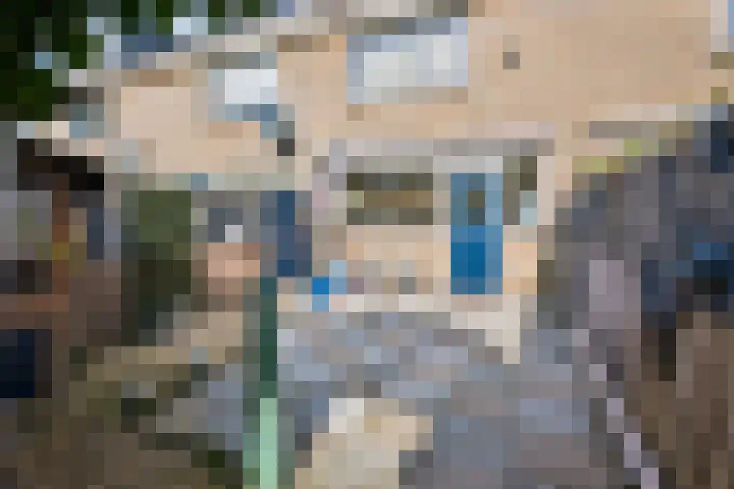 Wadenoijenlaan 373 Tiel thumbnail 6