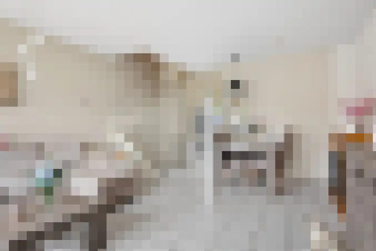 Wadenoijenlaan 373 Tiel thumbnail 8