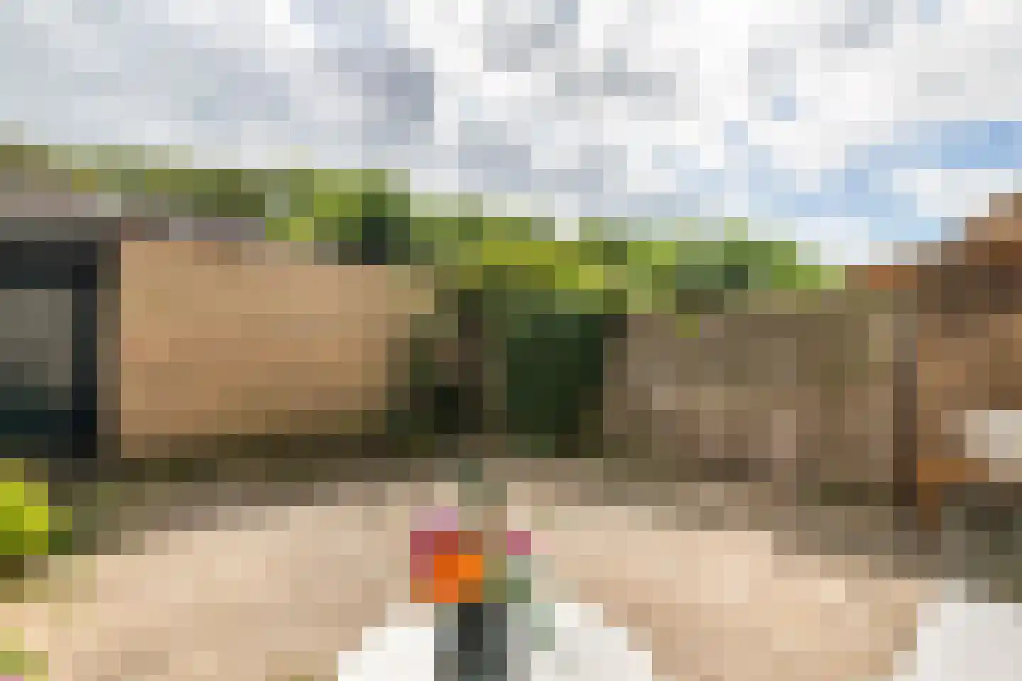 Wadenoijenlaan 413 Tiel thumbnail 30