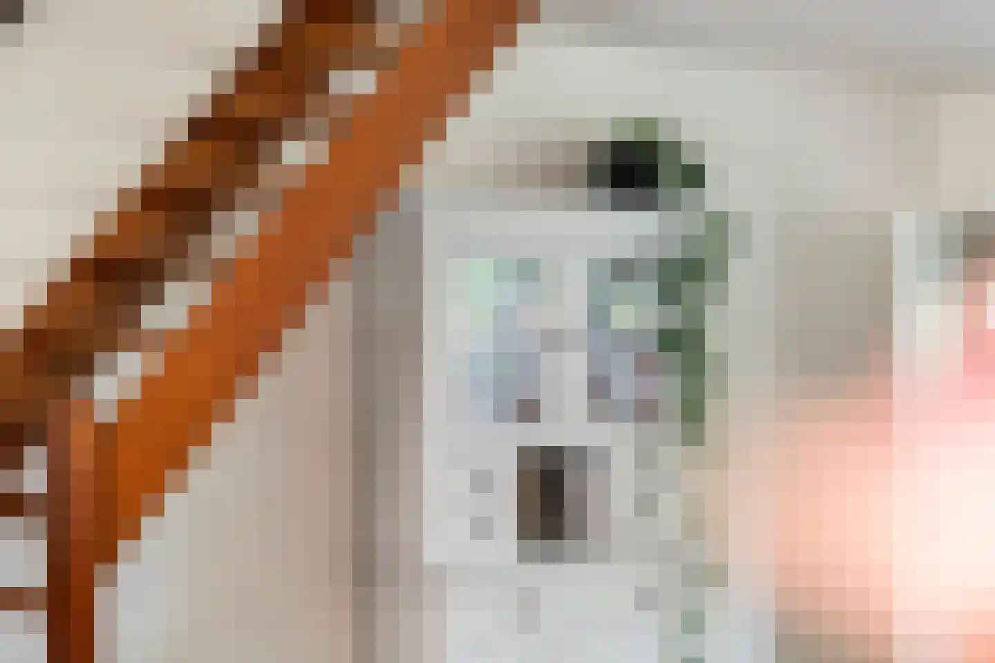 Wadenoijenlaan 413 Tiel thumbnail 6