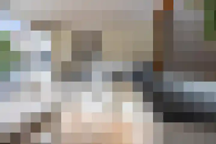 Wadenoijenlaan 415 Tiel thumbnail 17