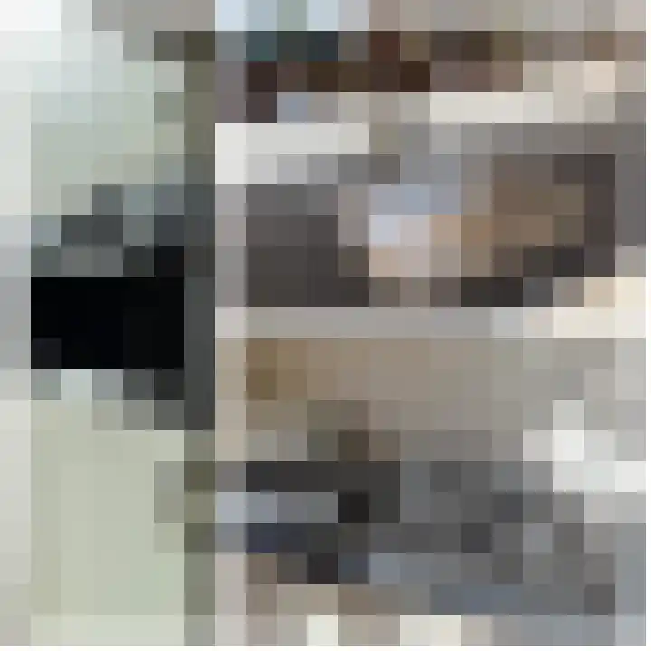 Wadenoijenlaan 415 Tiel thumbnail 21