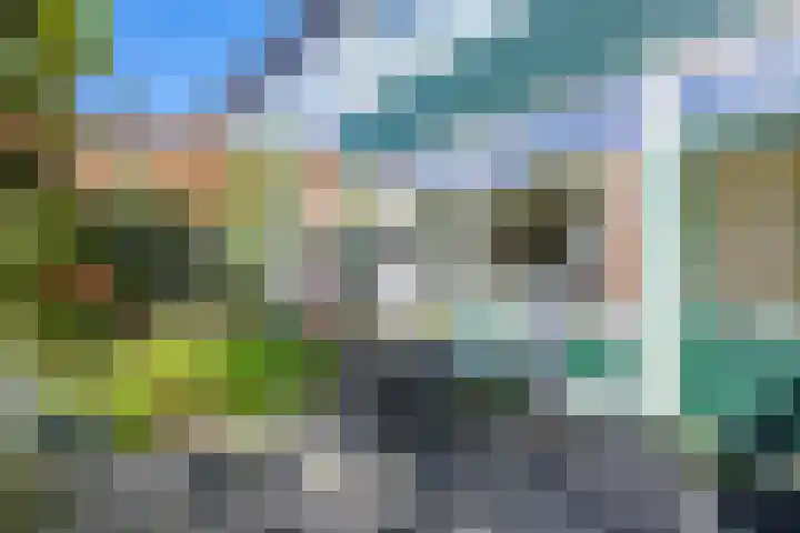 Wadenoijenlaan 415 Tiel thumbnail 24