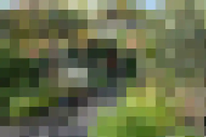 Wadenoijenlaan 415 Tiel thumbnail 26