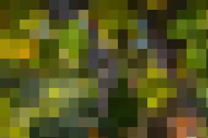 Wadenoijenlaan 415 Tiel thumbnail 27
