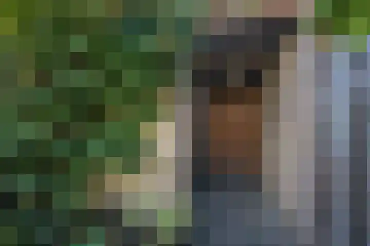 Wadenoijenlaan 415 Tiel thumbnail 29