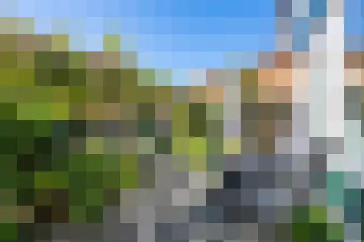 Wadenoijenlaan 415 Tiel foto 3